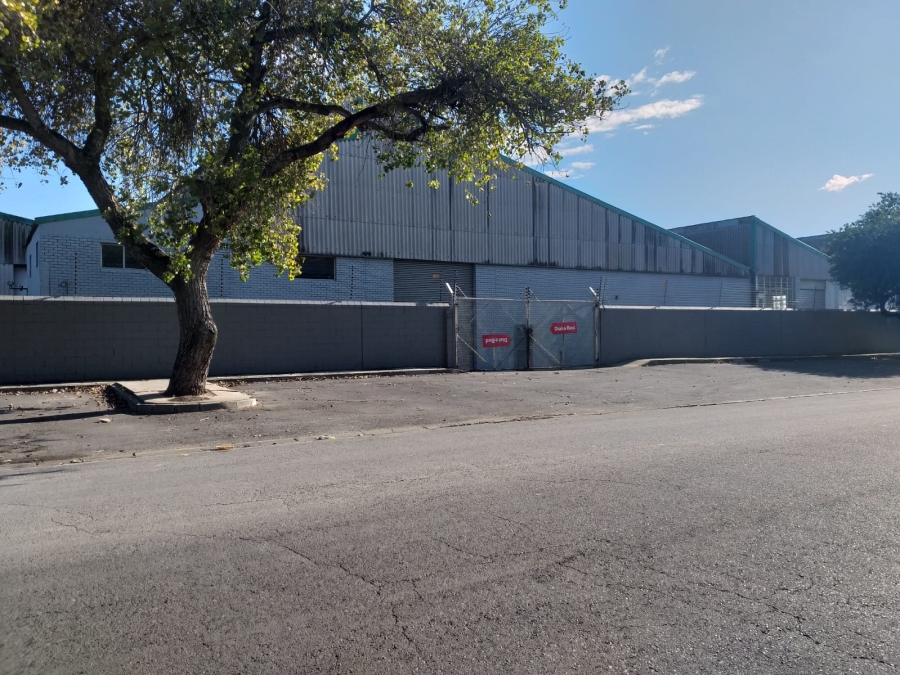 To Let Commercial Property for Rent in Epping Industrial Western Cape